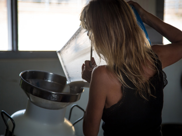 A person pouring milk at a machine