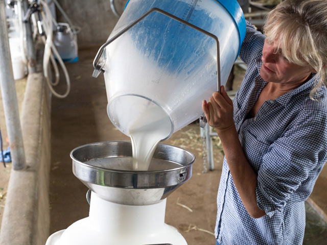 Milk pouring into jug