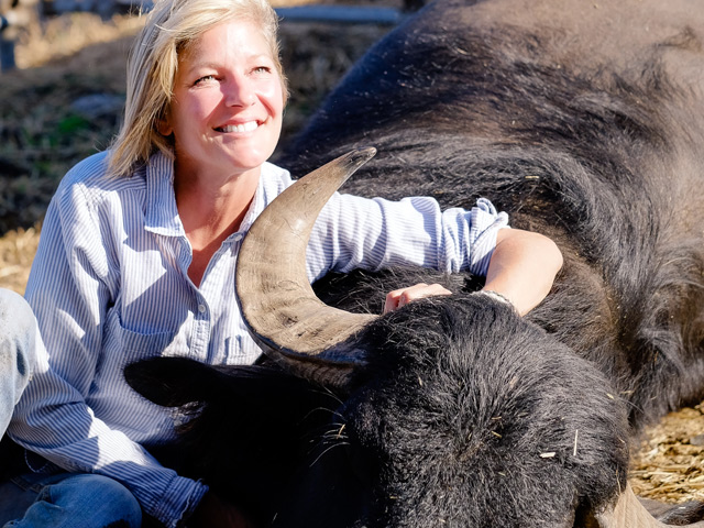 A woman sitting down with a water buffalo
